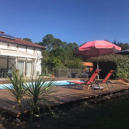 La Resiniere De Pirique